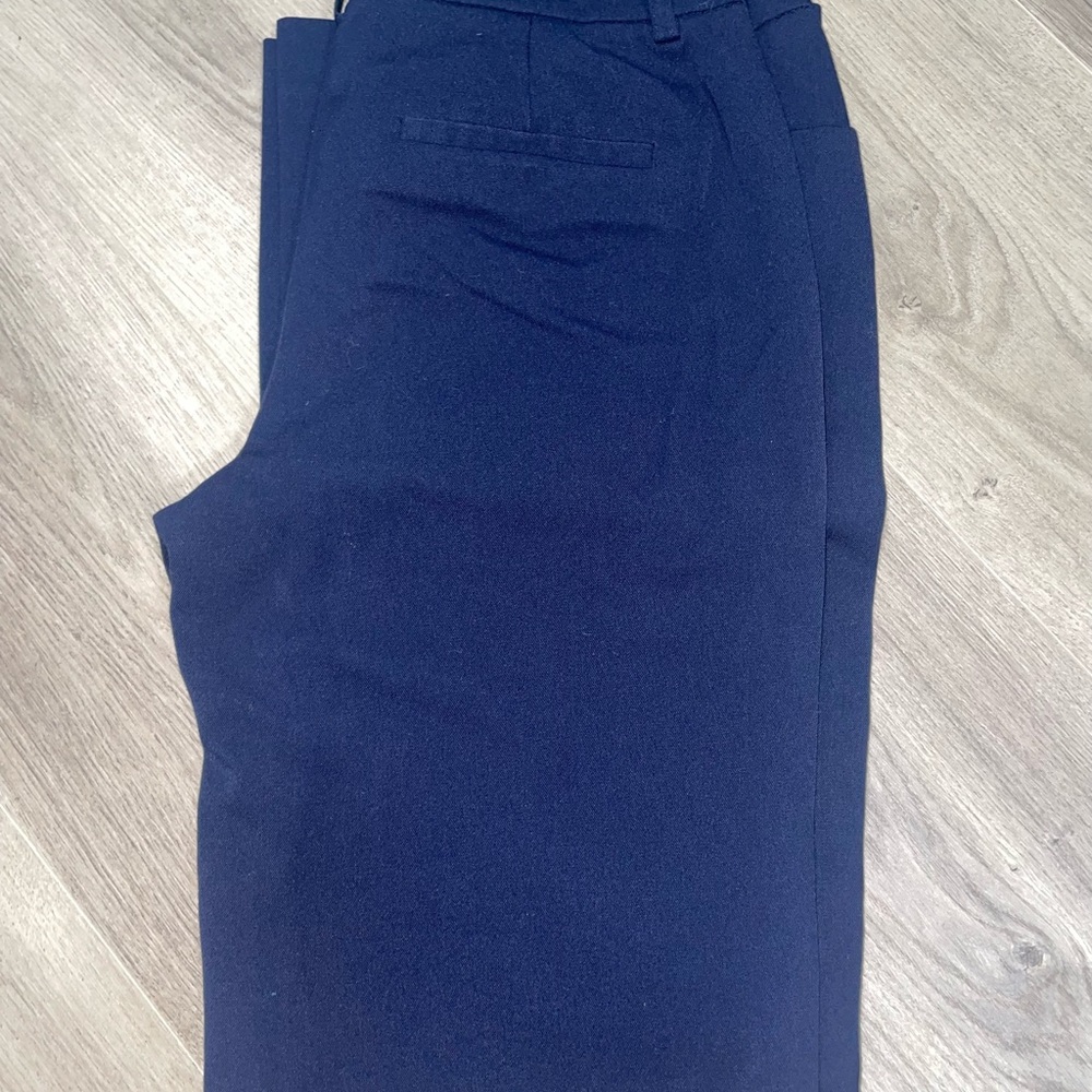 Apt 9 Pants (size 4 Curvy Fit) Blue